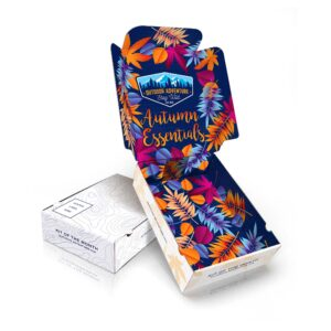An ecommerce package with an innovative design.